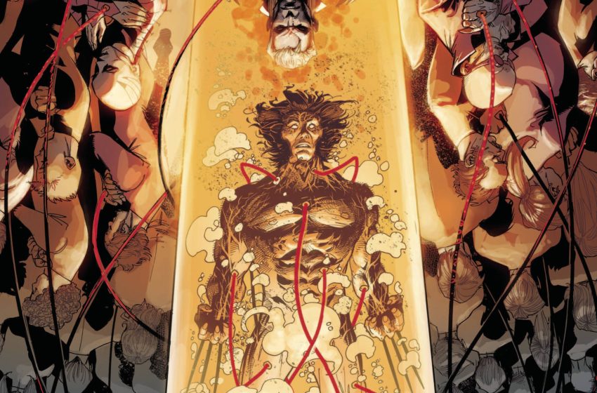 Cover Image of Wolverine #12