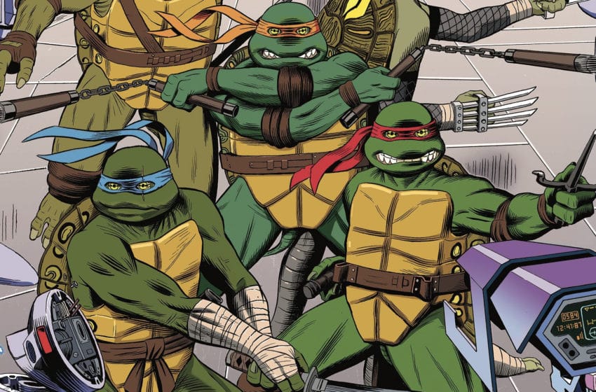 Cover of Teenage Mutant Ninja Turtles #120
