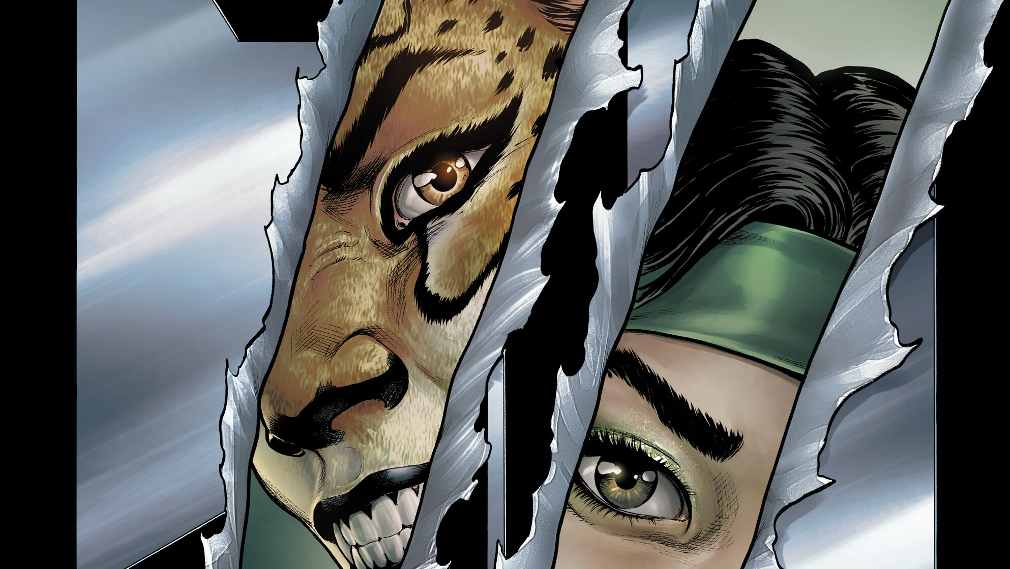 Cheetah and Cheshire Banner